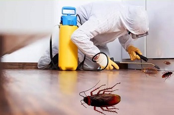 1682244846_pest.jpg